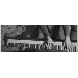 Aulas de Piano Particulares Mooca - Aula de Piano Jazz - Juba